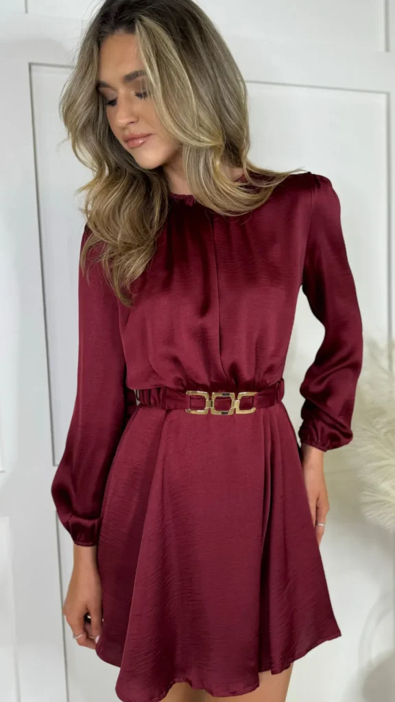 AX PARIS Going Out Dresses | Occasion Dresses^Gia Wine Long Sleeve Belted Skater Mini Dress