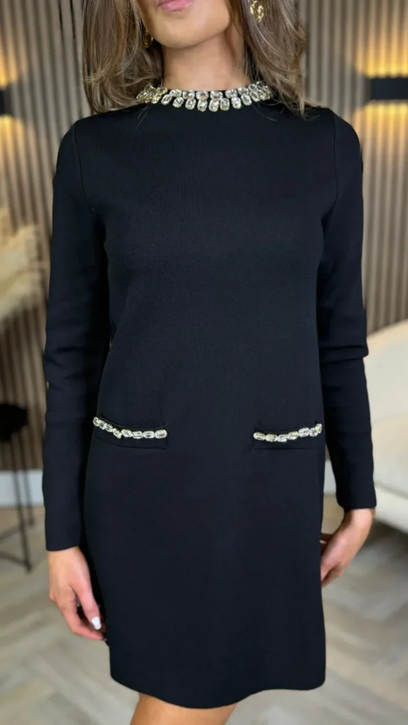 ALLYSON Fitted Dresses | Day Dresses^Kayra Black Embellished Detail Mini Dress